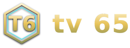 tv 65 logo